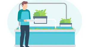 Aquaponic Startup Guide: How to Get Your Business Up and Running