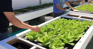 The Future of Aquaponic Education: New Programs and Initiatives
